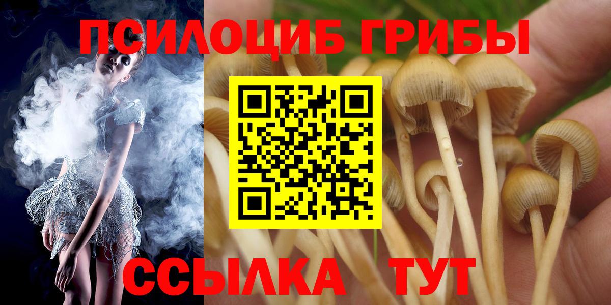 Псилоцибиновые грибы Psilocybine cubensis Салехард