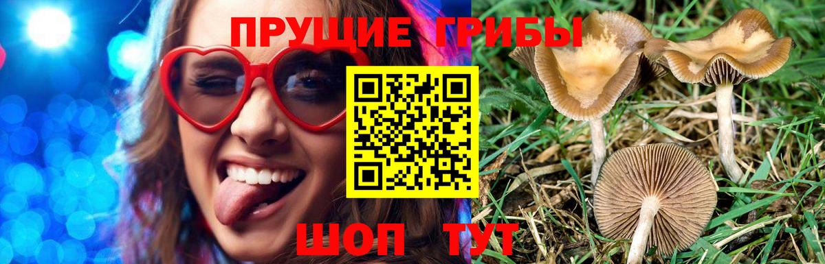 Салехард  Галлюциногенные грибы ЛСД  Вход с VPN 