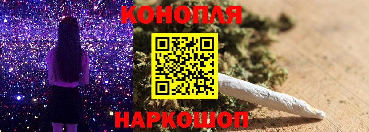 Конопля OG Kush Салехард